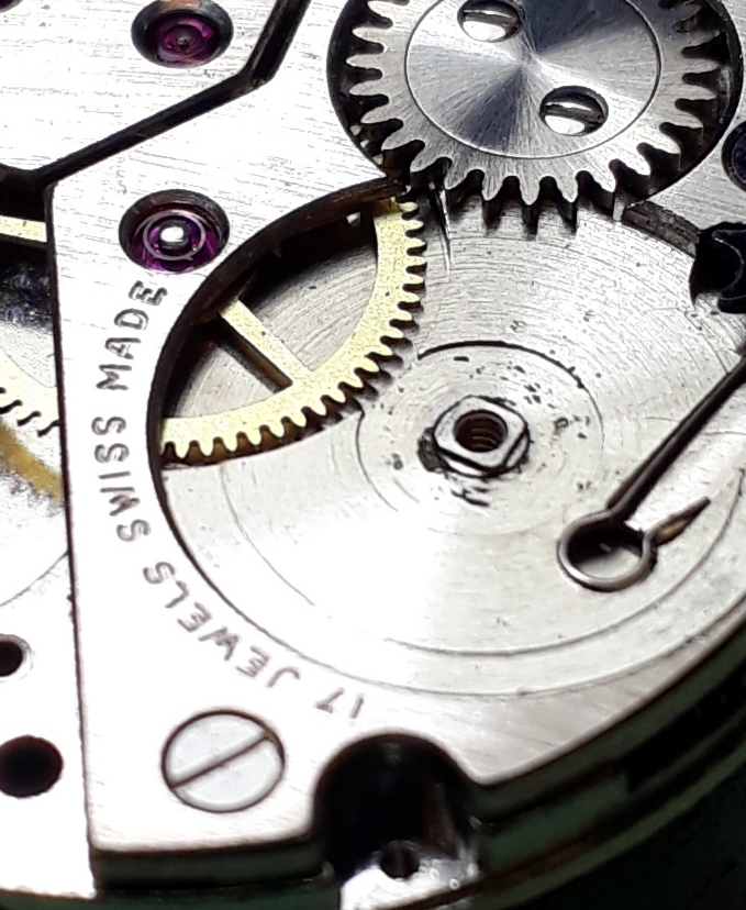 WhatsApp Image 2019-10-17 at 22.20.30