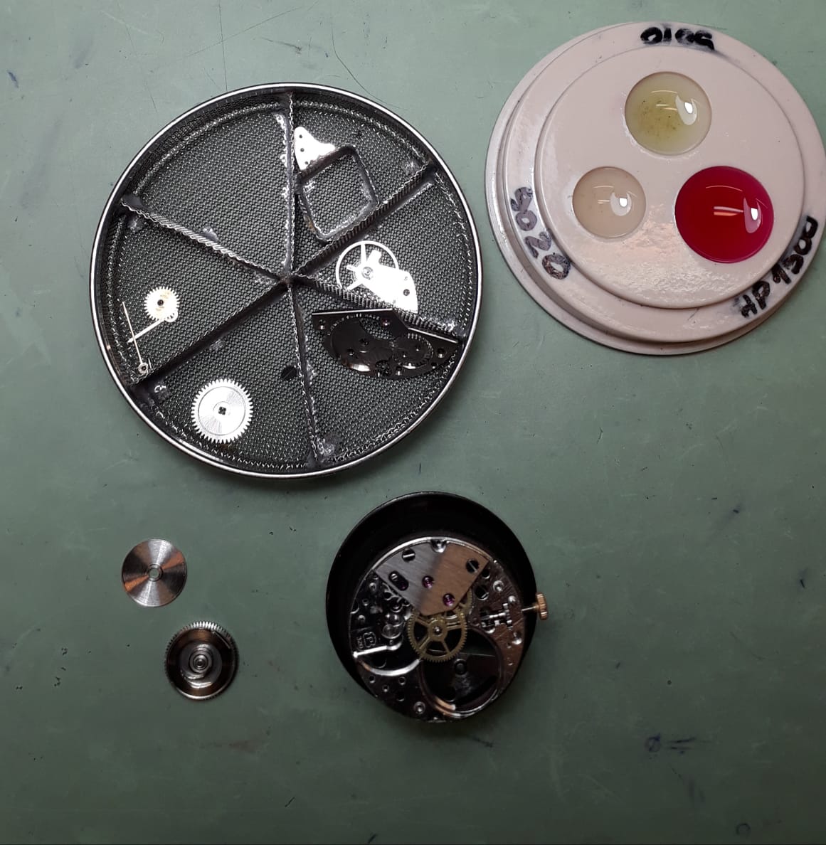 WhatsApp Image 2019-10-17 at 22.23.27 (1)